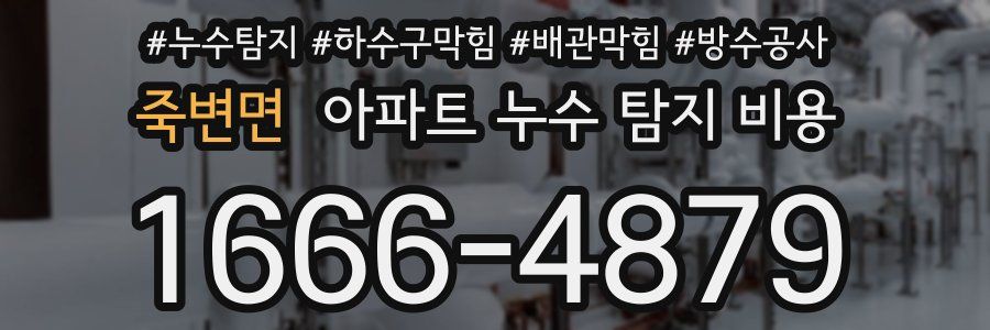 죽변면 아파트 누수 탐지 비용