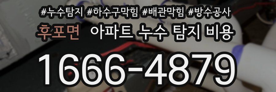 후포면 아파트 누수 탐지 비용