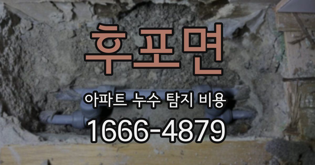 후포면 아파트 누수 탐지 비용