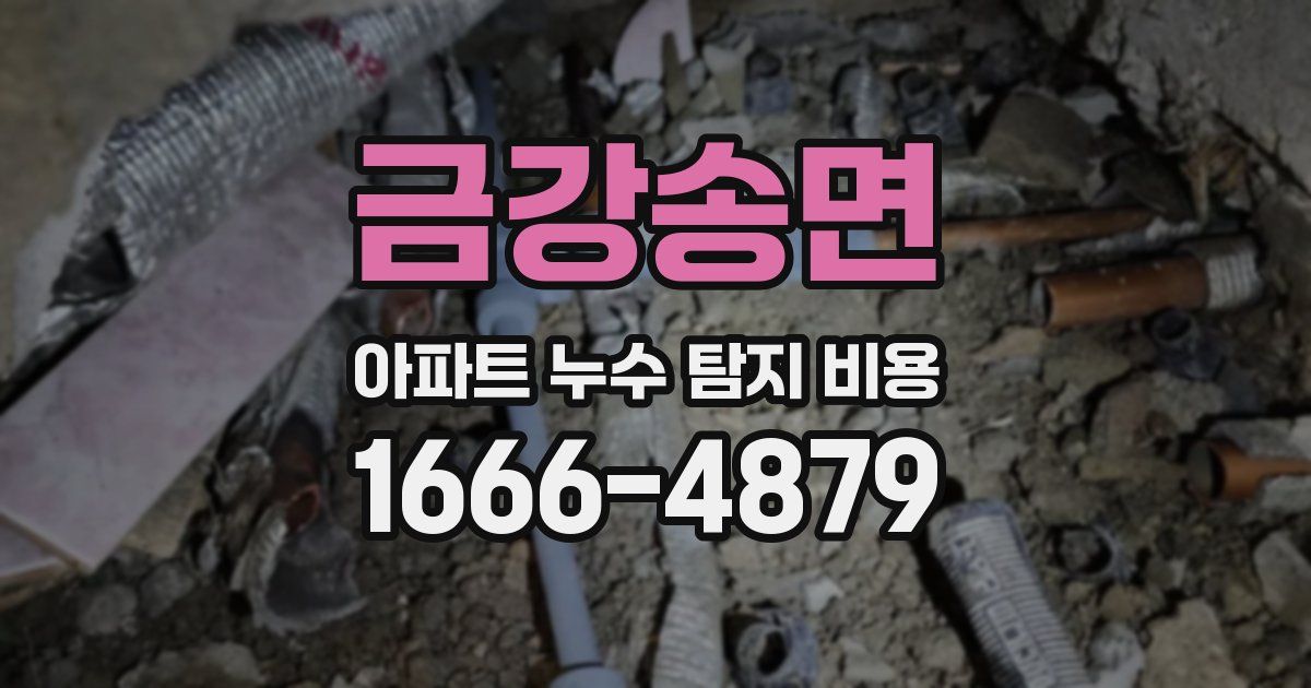 금강송면 아파트 누수 탐지 비용