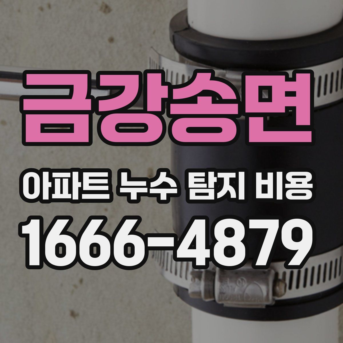 금강송면 아파트 누수 탐지 비용