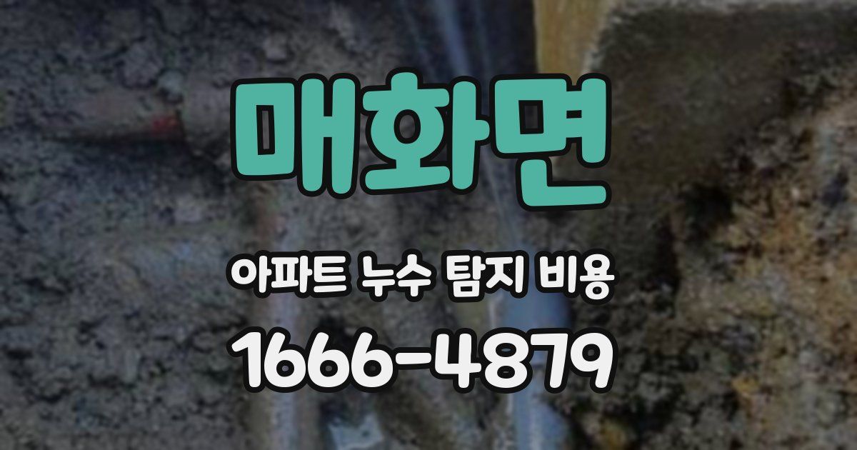 매화면 아파트 누수 탐지 비용
