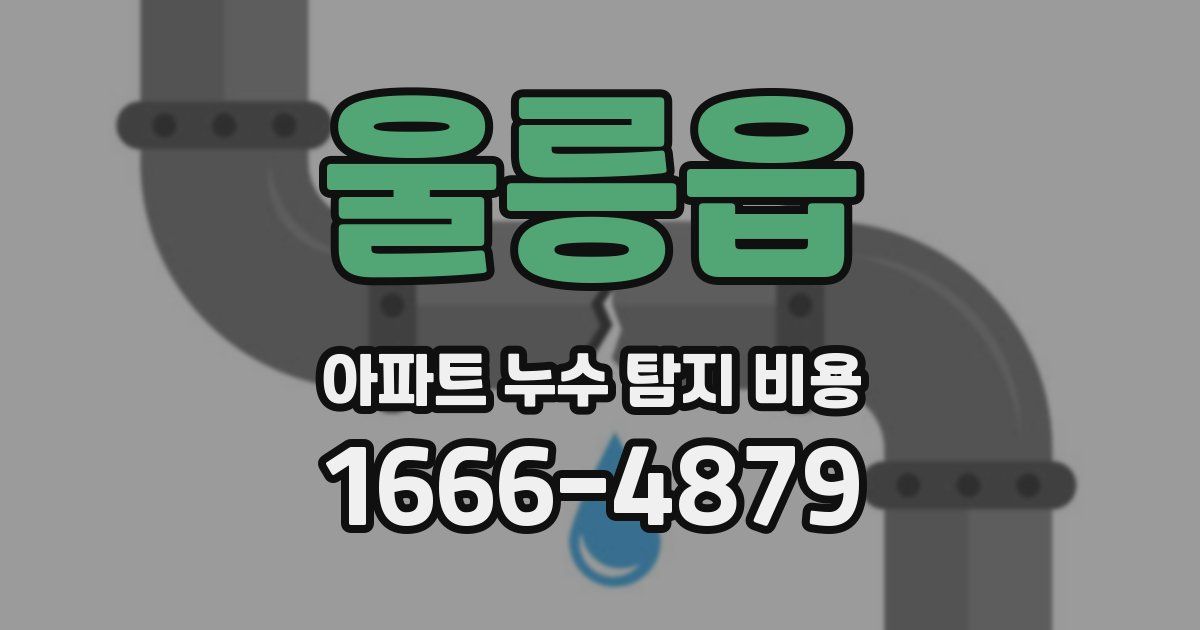 울릉읍 아파트 누수 탐지 비용