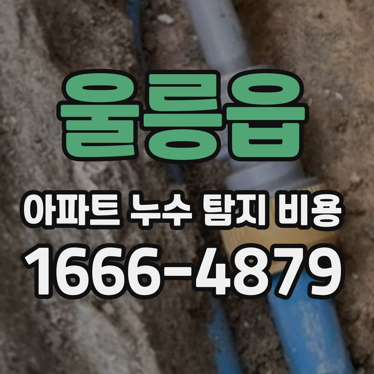 울릉읍 아파트 누수 탐지 비용