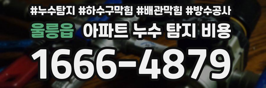 울릉읍 아파트 누수 탐지 비용
