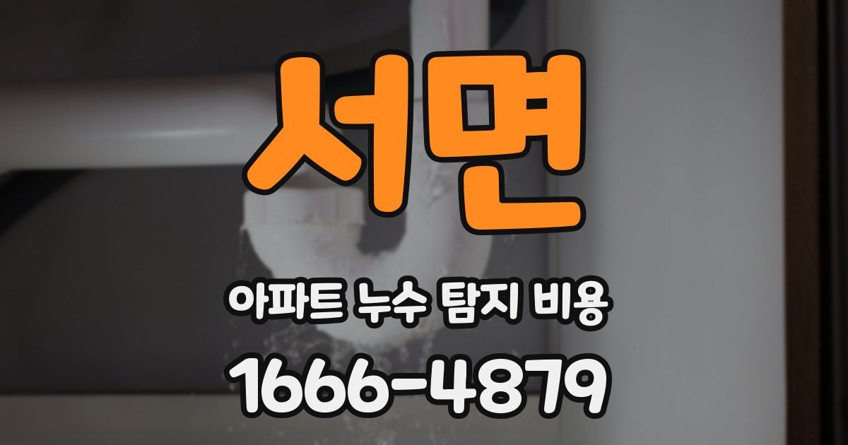 서면 아파트 누수 탐지 비용