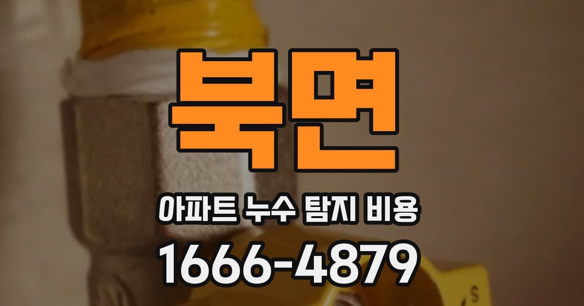 북면 아파트 누수 탐지 비용