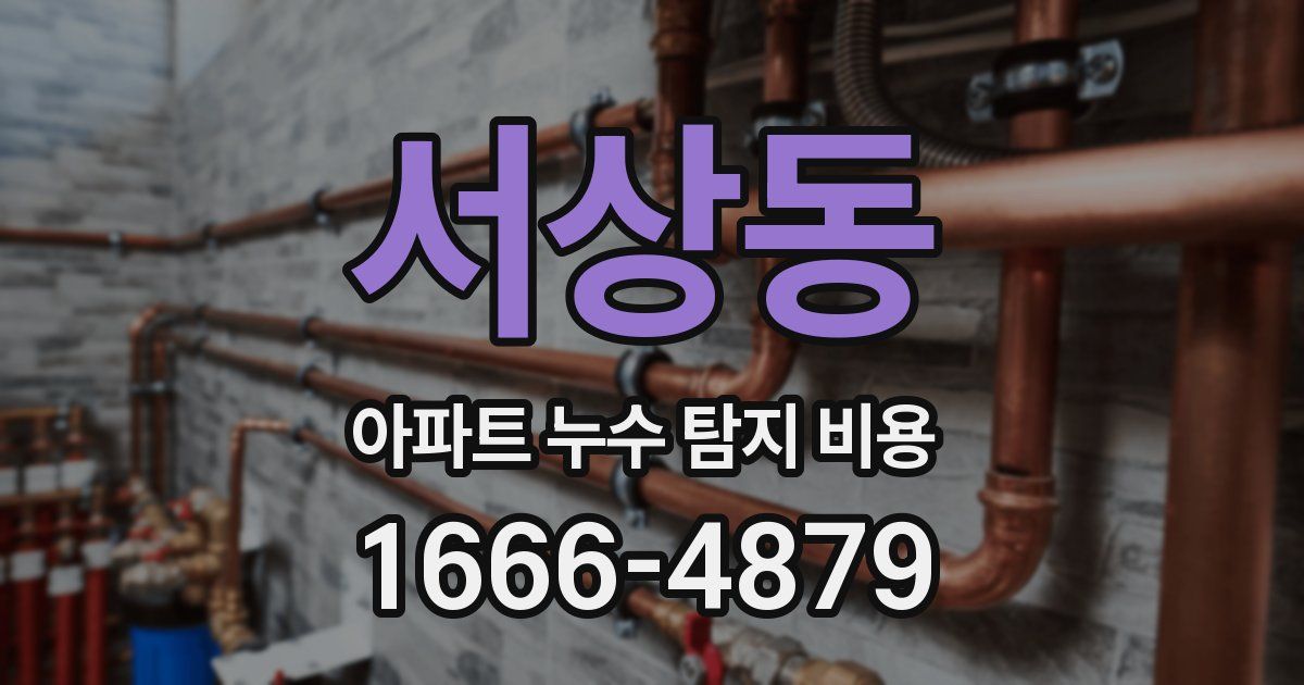 서상동 아파트 누수 탐지 비용