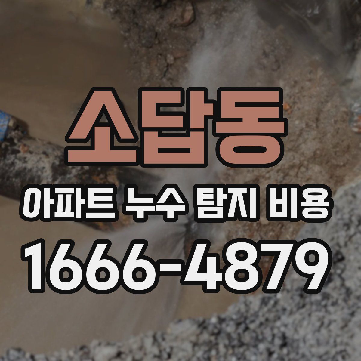 소답동 아파트 누수 탐지 비용