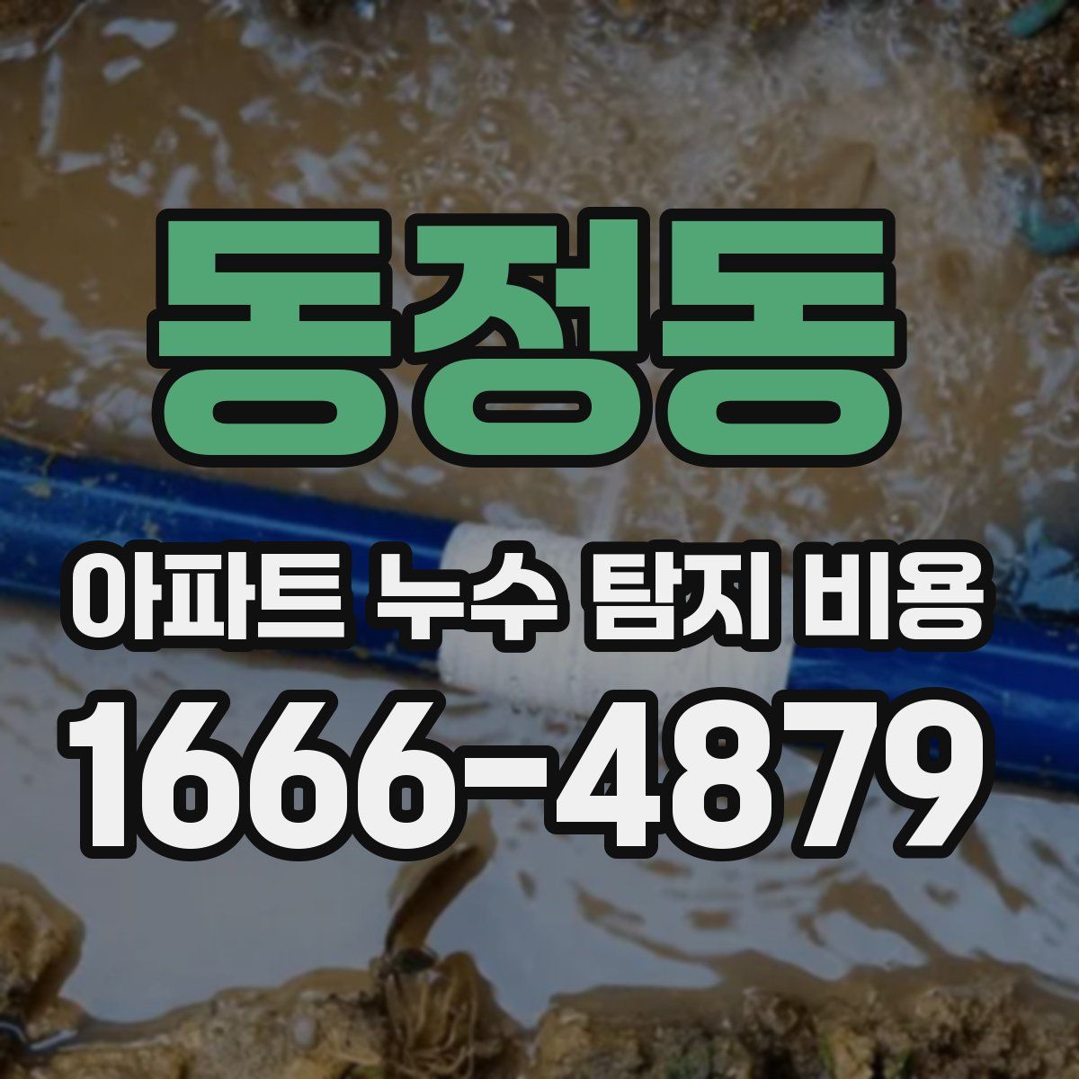 동정동 아파트 누수 탐지 비용