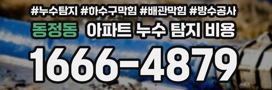 동정동 아파트 누수 탐지 비용