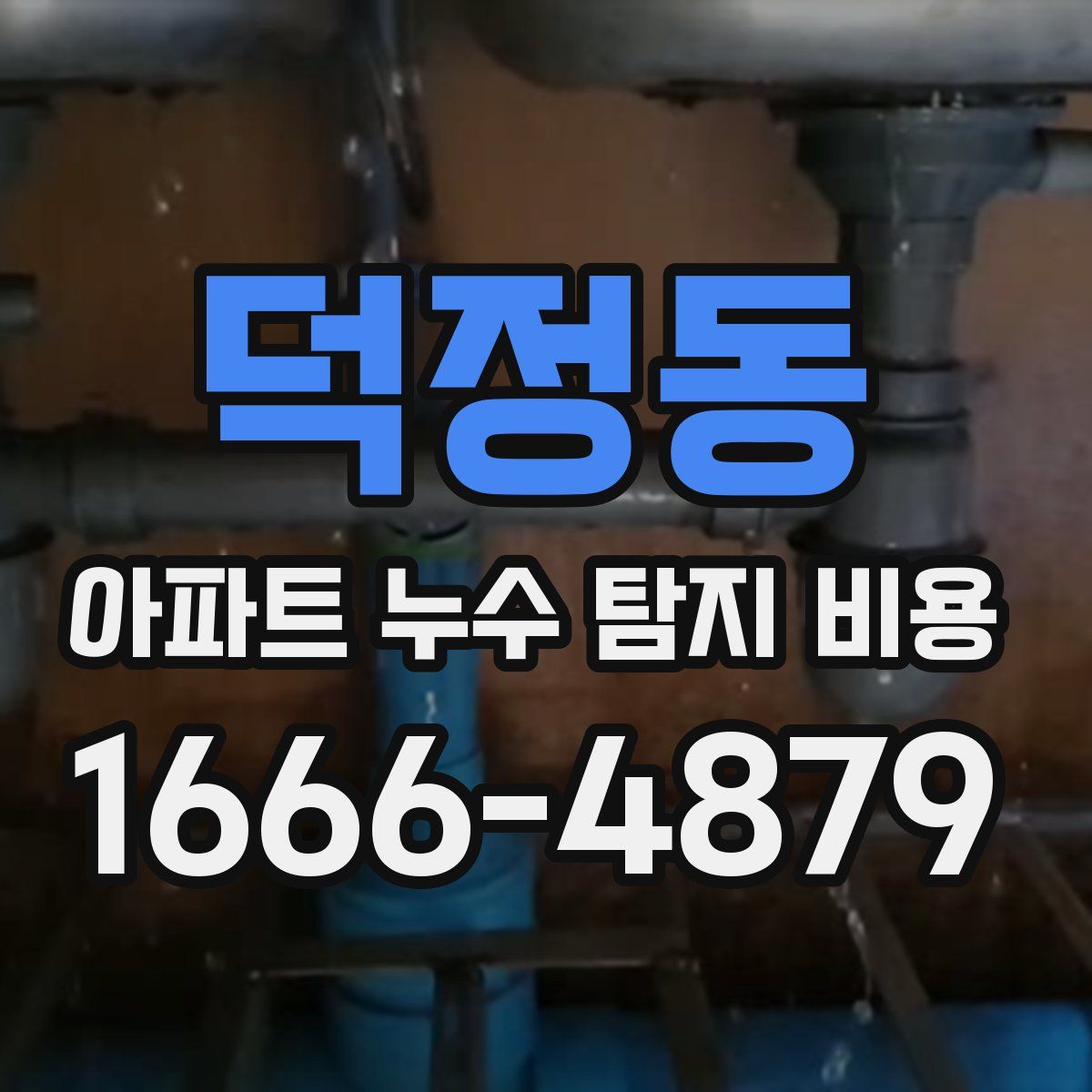덕정동 아파트 누수 탐지 비용