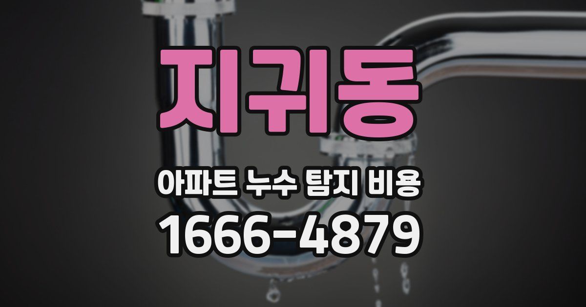 지귀동 아파트 누수 탐지 비용