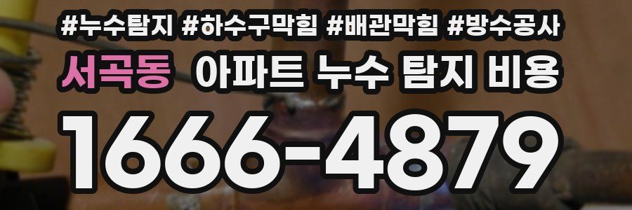 서곡동 아파트 누수 탐지 비용