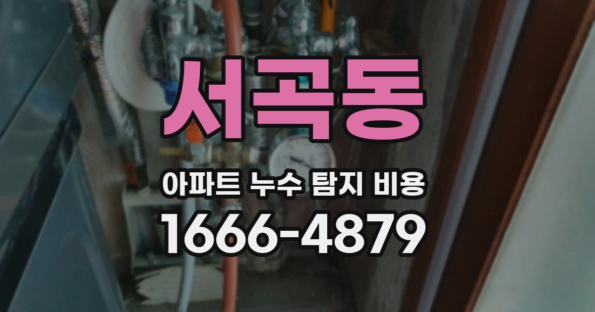 서곡동 아파트 누수 탐지 비용