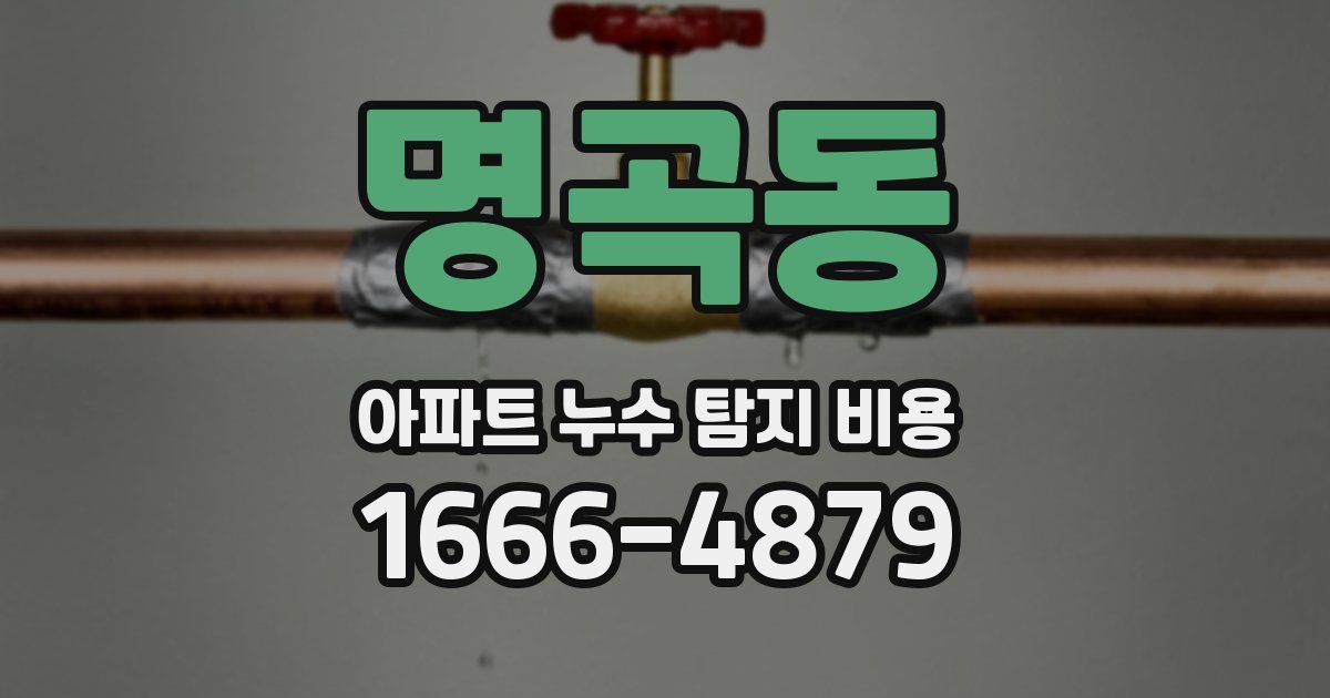 명곡동 아파트 누수 탐지 비용