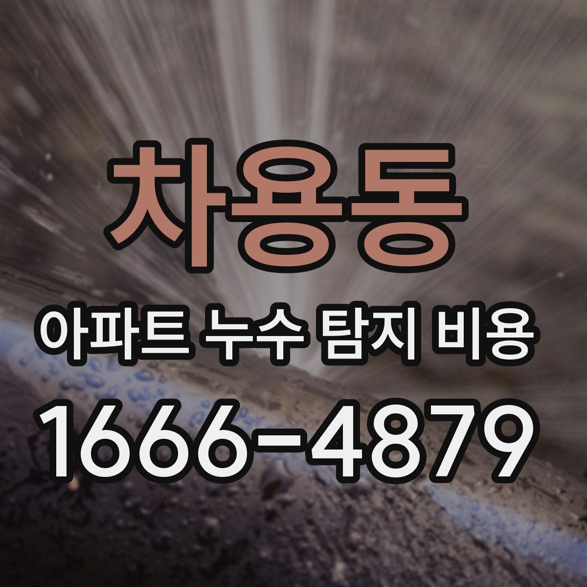 차용동 아파트 누수 탐지 비용