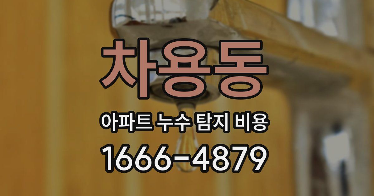 차용동 아파트 누수 탐지 비용