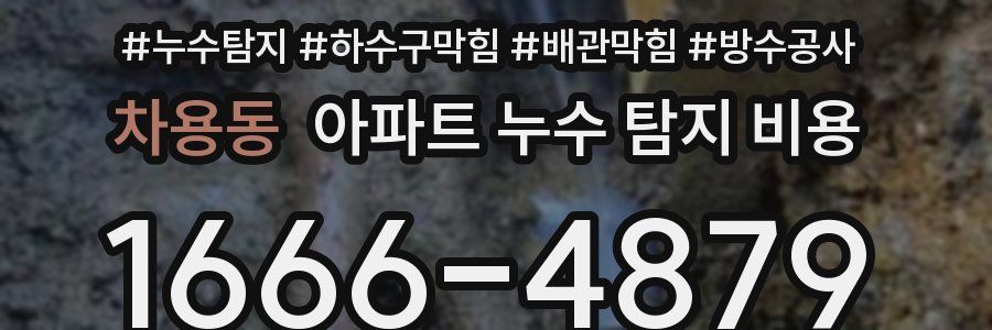 차용동 아파트 누수 탐지 비용