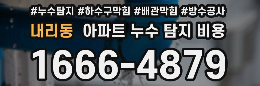 내리동 아파트 누수 탐지 비용