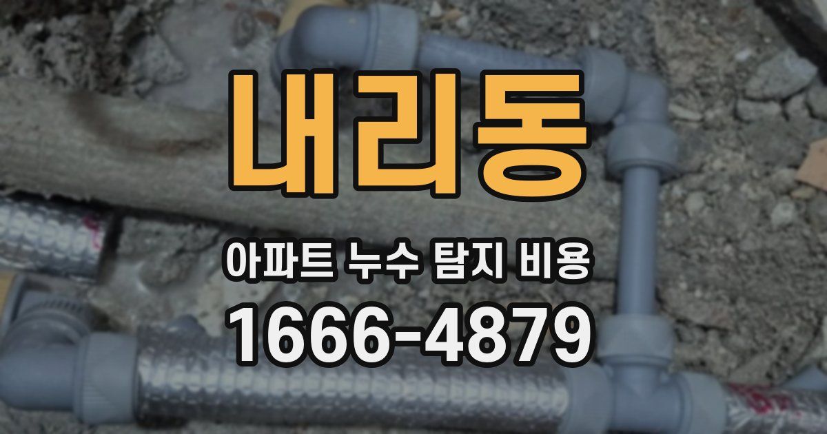 내리동 아파트 누수 탐지 비용