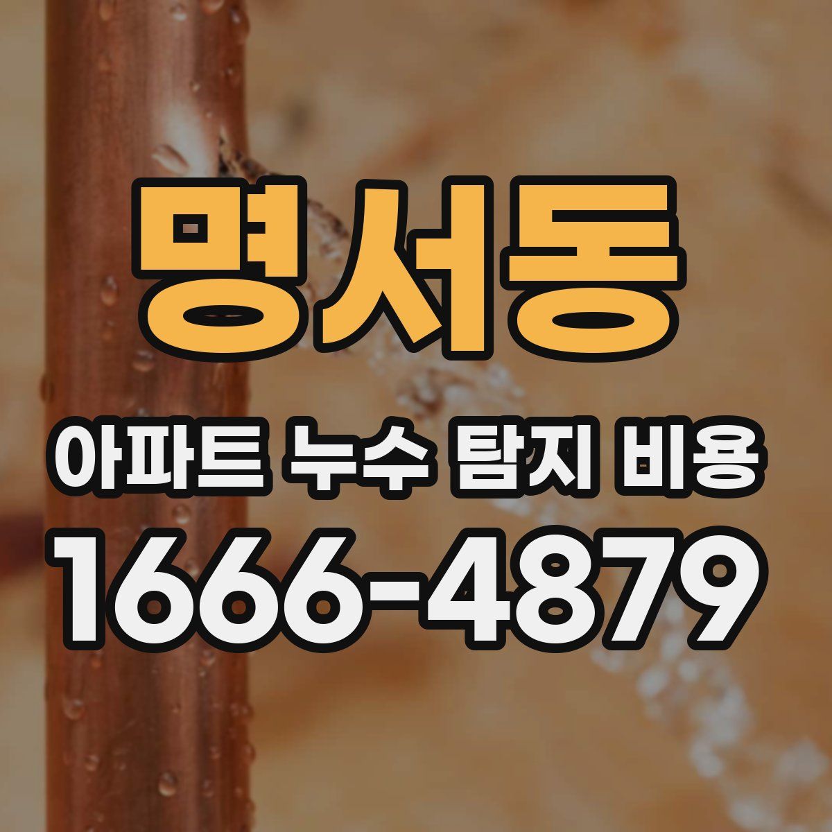 명서동 아파트 누수 탐지 비용