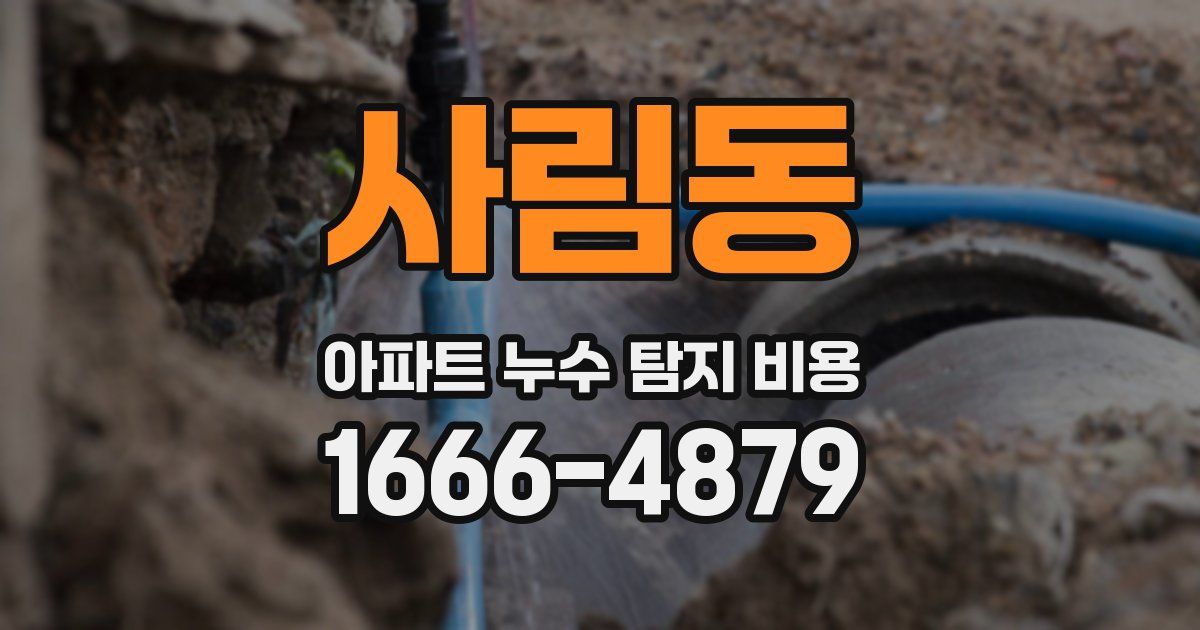 사림동 아파트 누수 탐지 비용