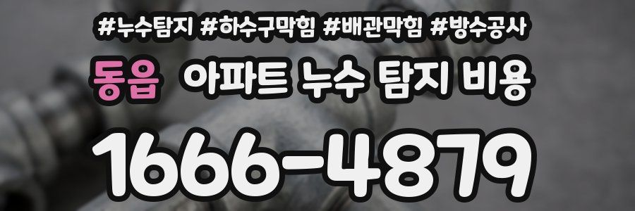 동읍 아파트 누수 탐지 비용
