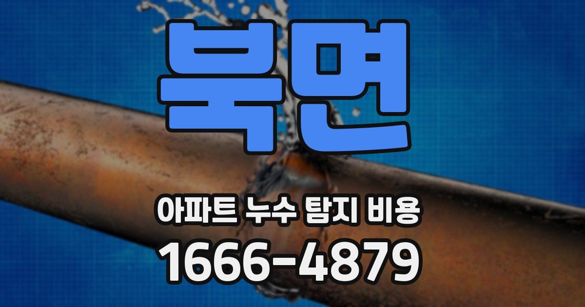 북면 아파트 누수 탐지 비용