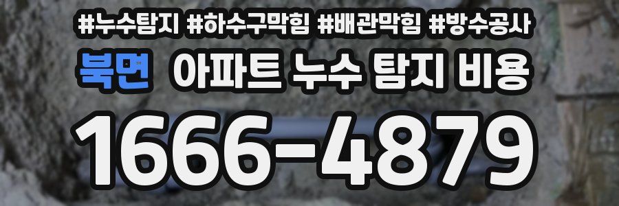 북면 아파트 누수 탐지 비용