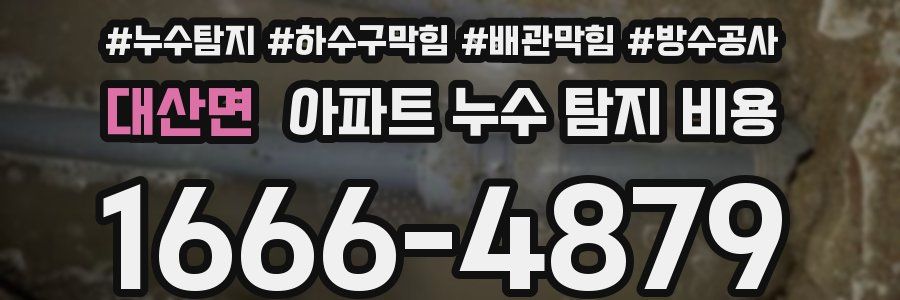 대산면 아파트 누수 탐지 비용