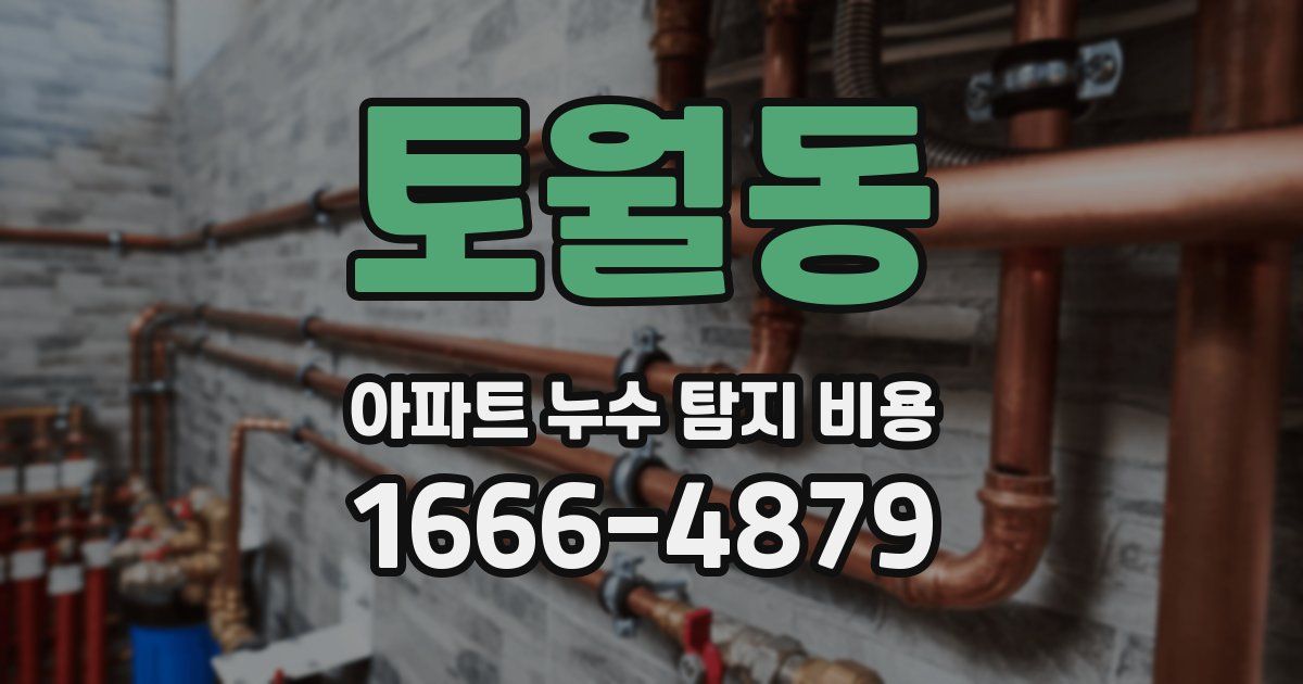 토월동 아파트 누수 탐지 비용