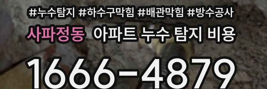 사파정동 아파트 누수 탐지 비용