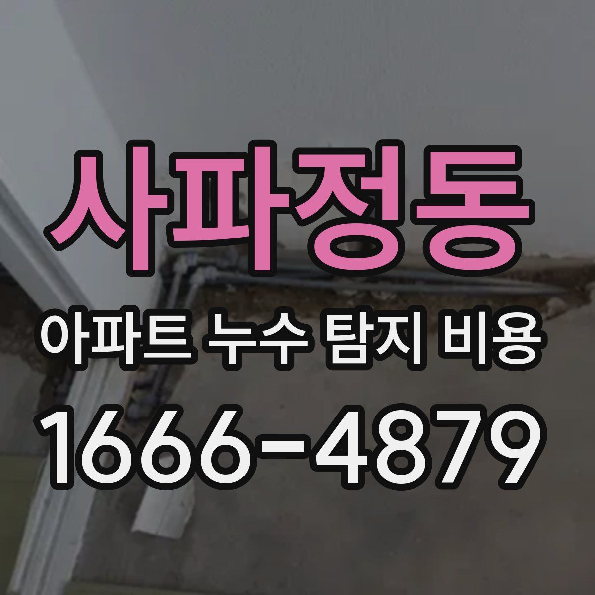 사파정동 아파트 누수 탐지 비용