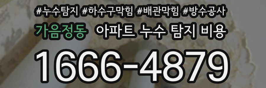 가음정동 아파트 누수 탐지 비용