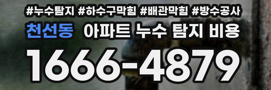 천선동 아파트 누수 탐지 비용