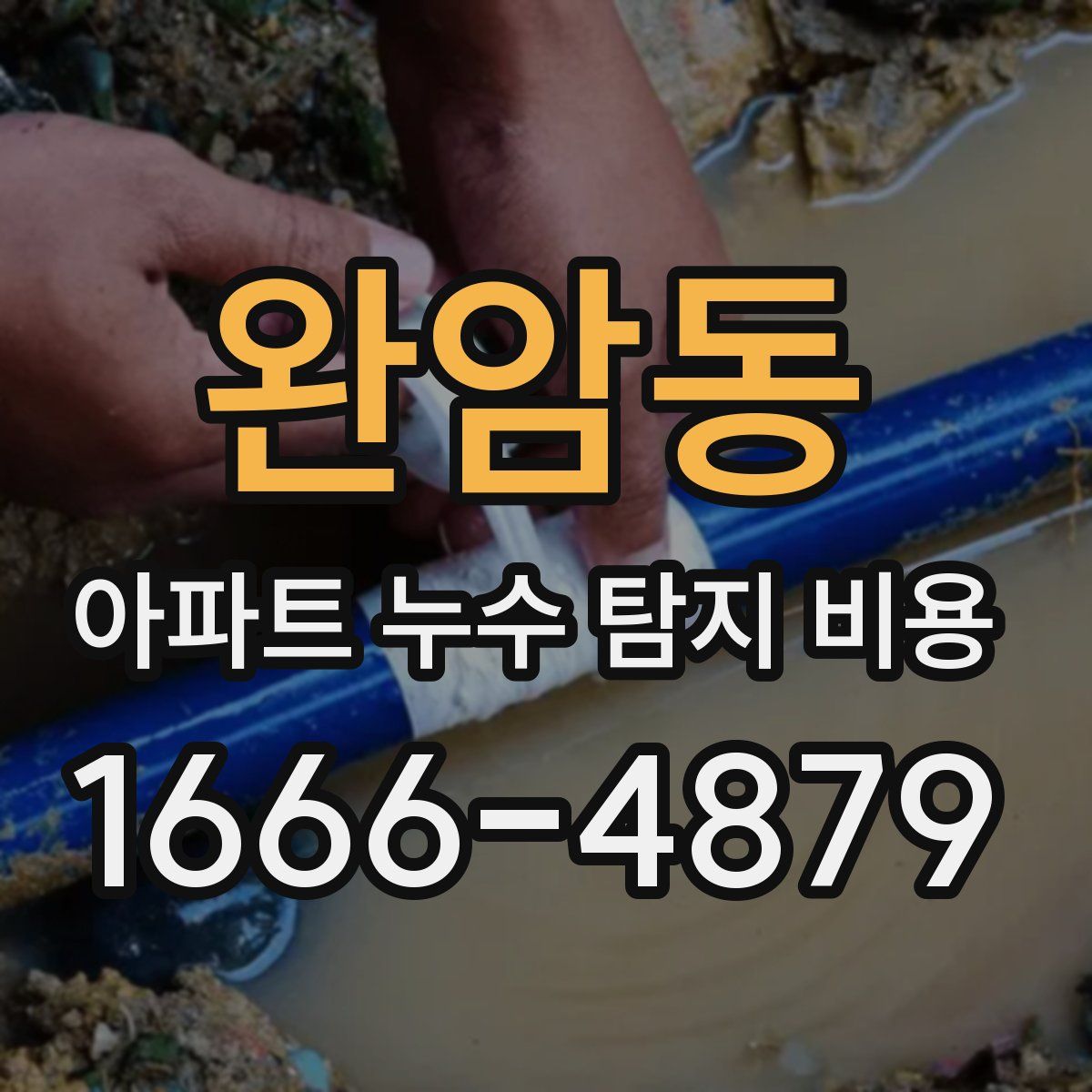 완암동 아파트 누수 탐지 비용