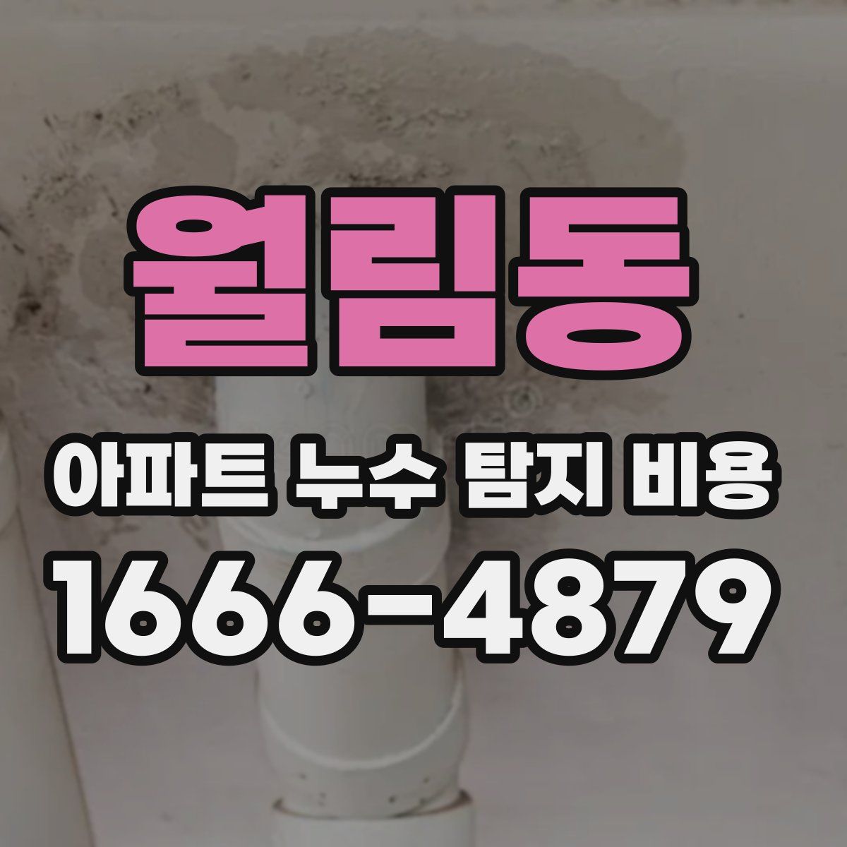 월림동 아파트 누수 탐지 비용