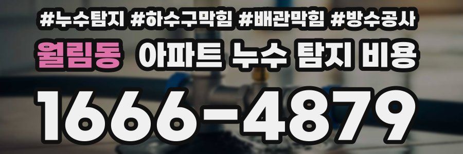 월림동 아파트 누수 탐지 비용