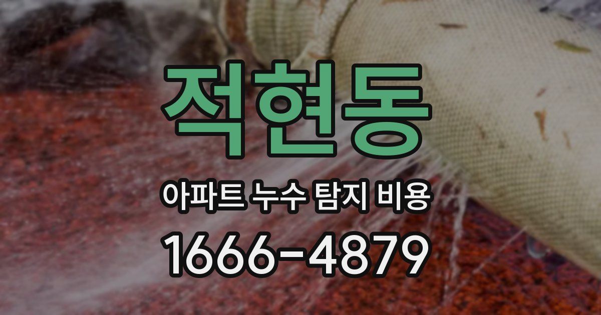 적현동 아파트 누수 탐지 비용