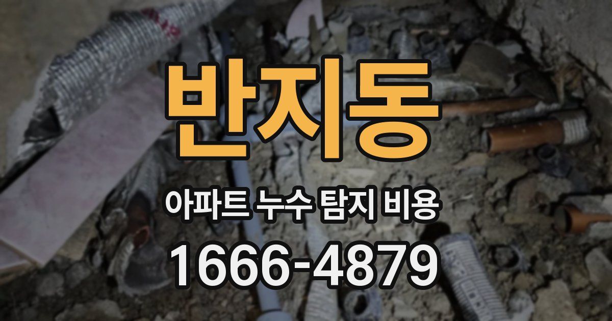 반지동 아파트 누수 탐지 비용