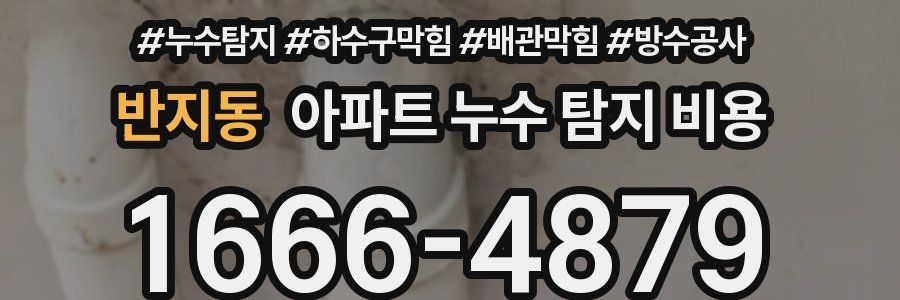 반지동 아파트 누수 탐지 비용