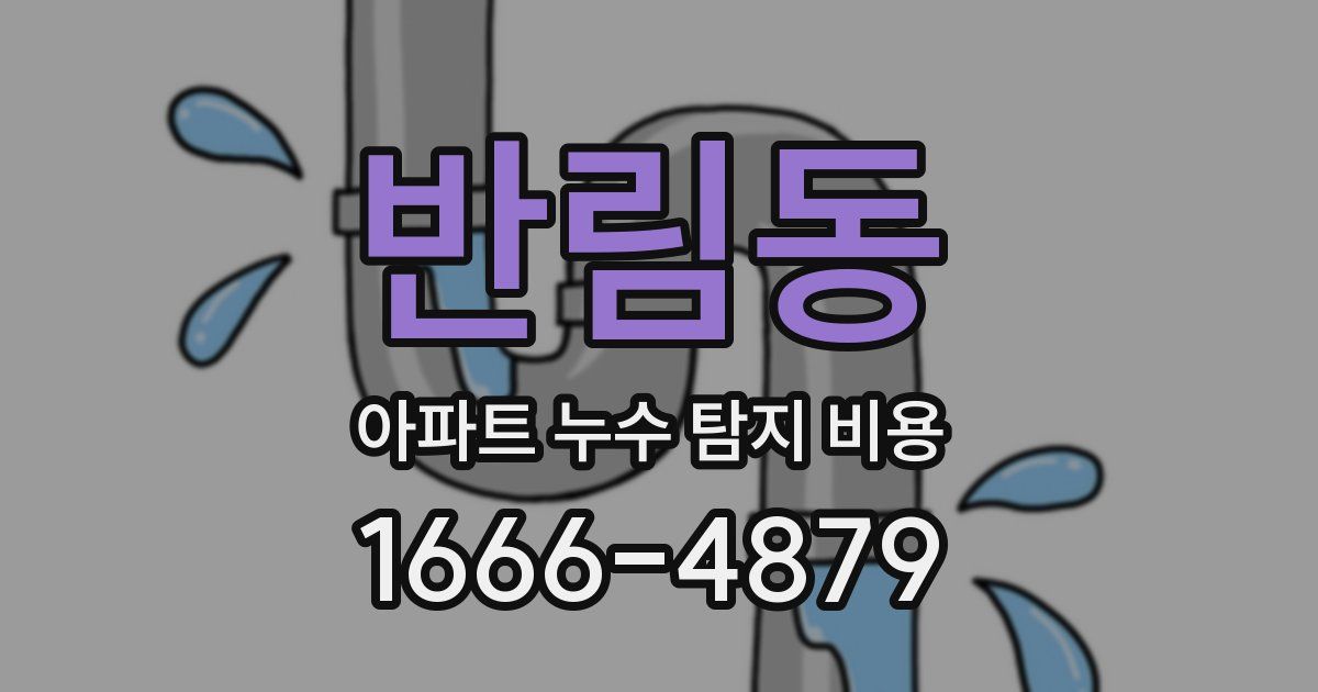 반림동 아파트 누수 탐지 비용