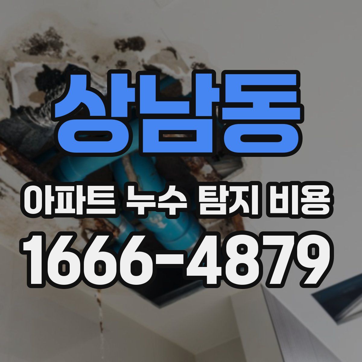 상남동 아파트 누수 탐지 비용