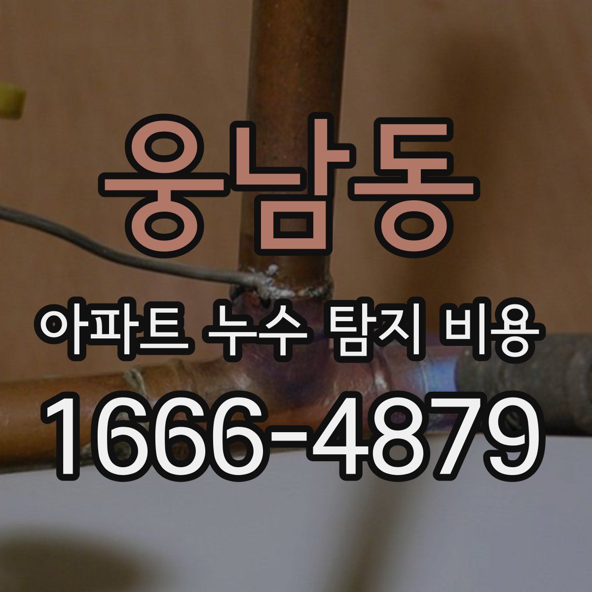 웅남동 아파트 누수 탐지 비용