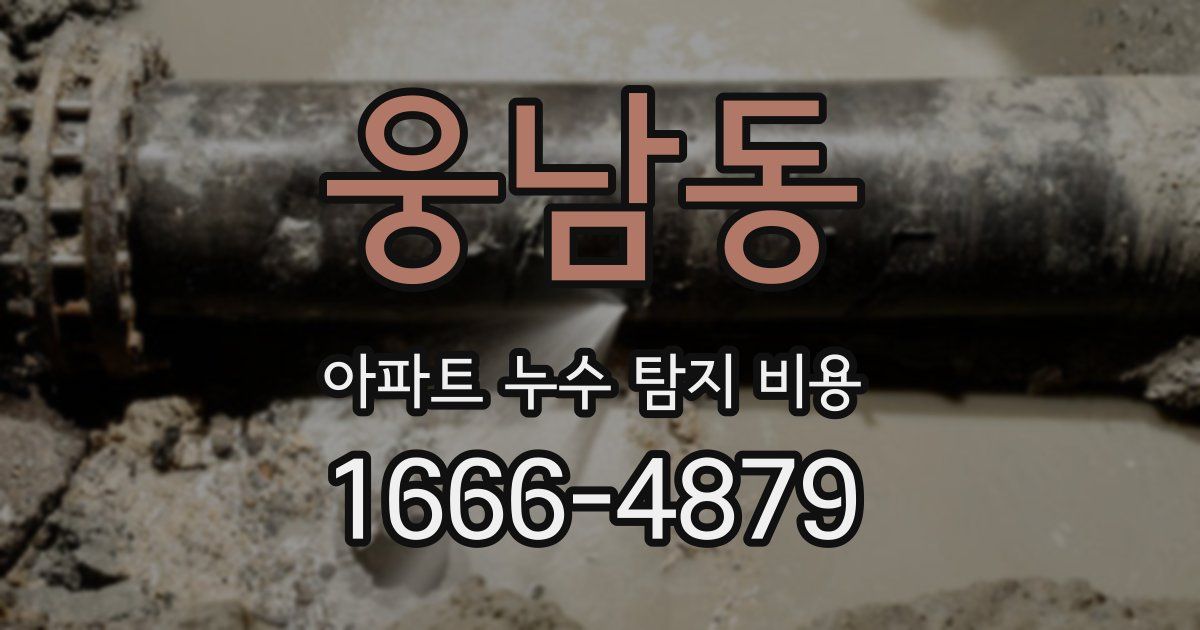 웅남동 아파트 누수 탐지 비용