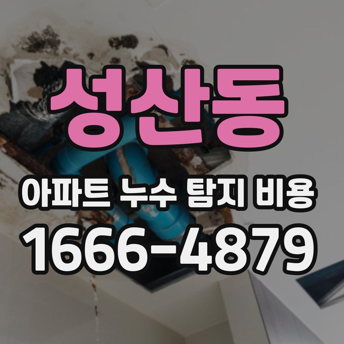 성산동 아파트 누수 탐지 비용