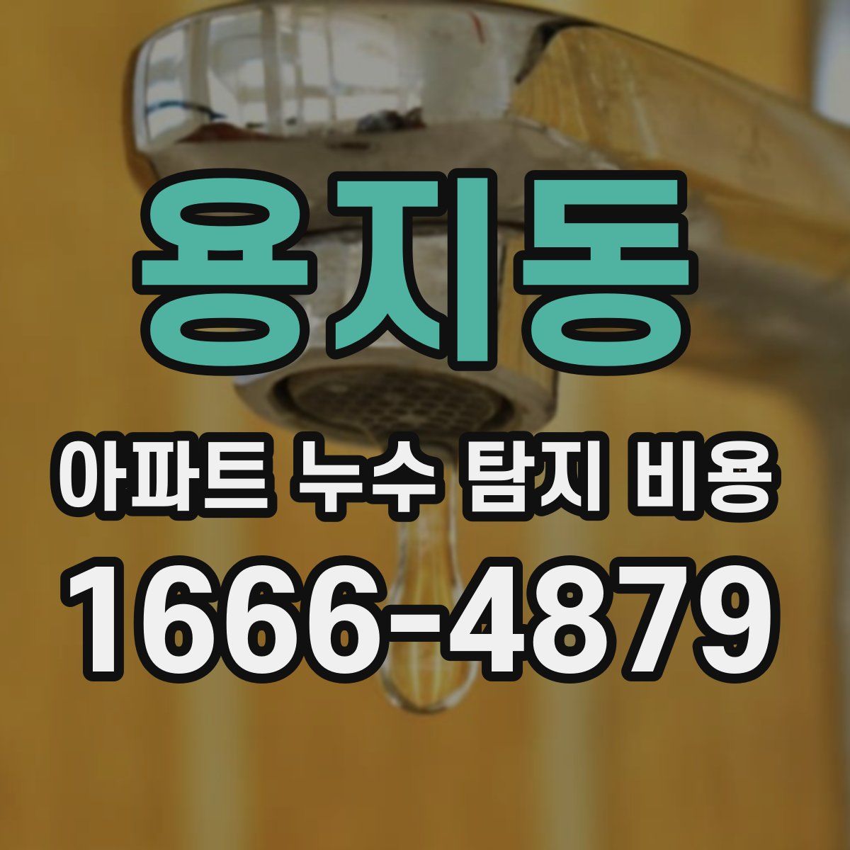 용지동 아파트 누수 탐지 비용