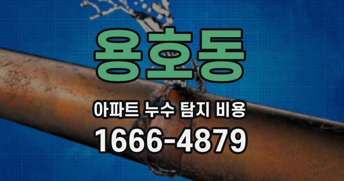 용호동 아파트 누수 탐지 비용