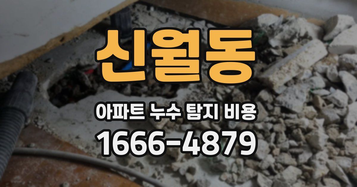 신월동 아파트 누수 탐지 비용